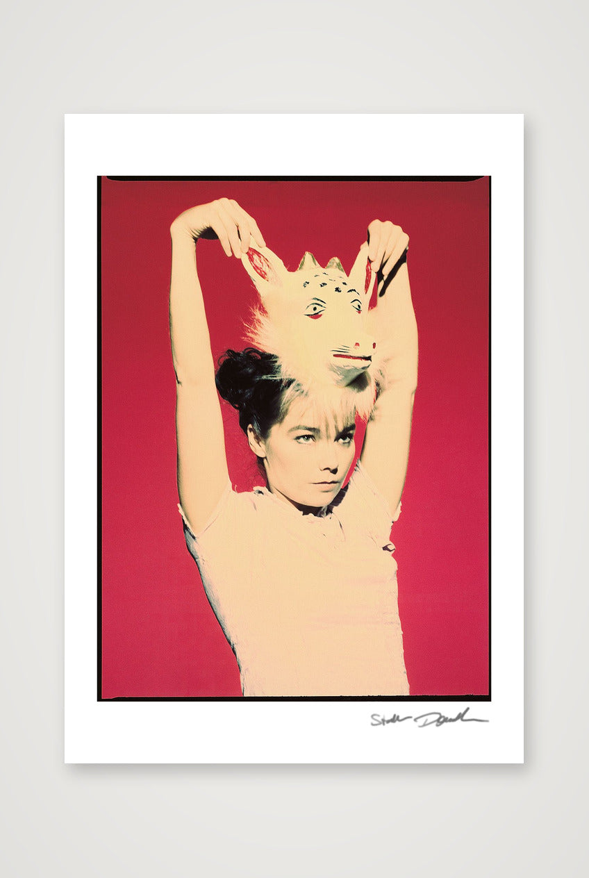 Bjork Col Trans CroPro 1 A0 profiled — A3 (30×42cm, 12×17") Print only