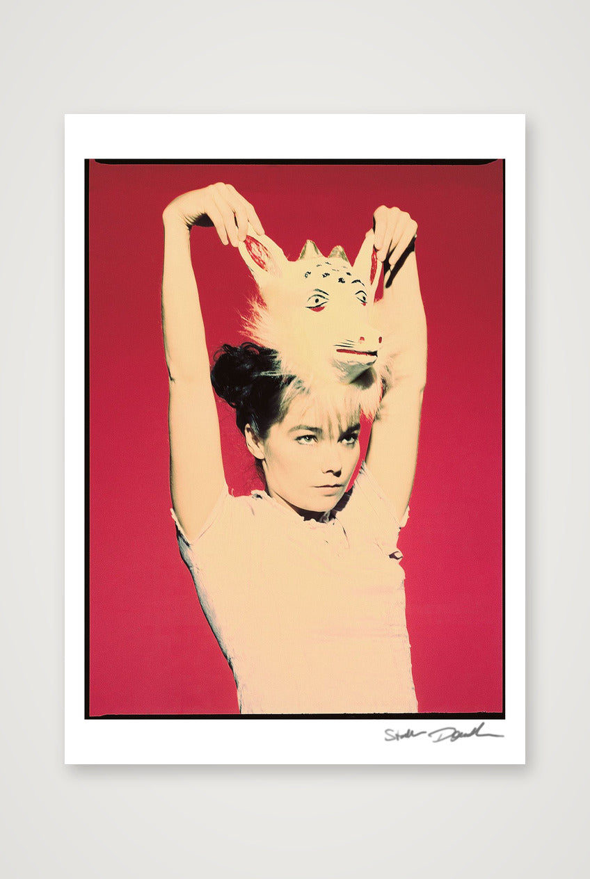 Björk Studio with Mask - Look 2 - Cross Process - 1995 — A0 (84×119cm, 33×47") Print only