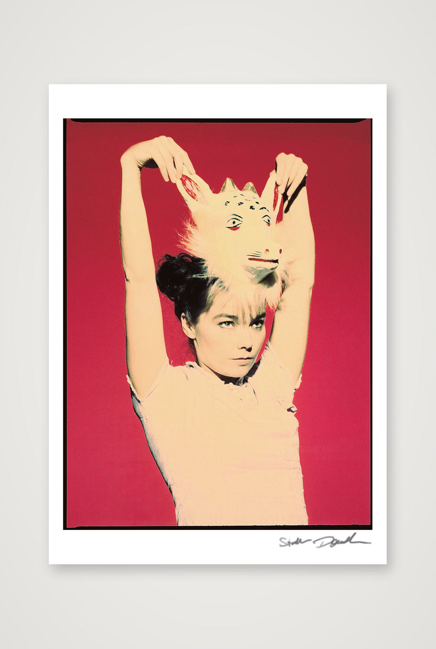 Björk Studio with Mask - Look 2 - Cross Process - 1995 — 59×84cm, 23×33" Print only